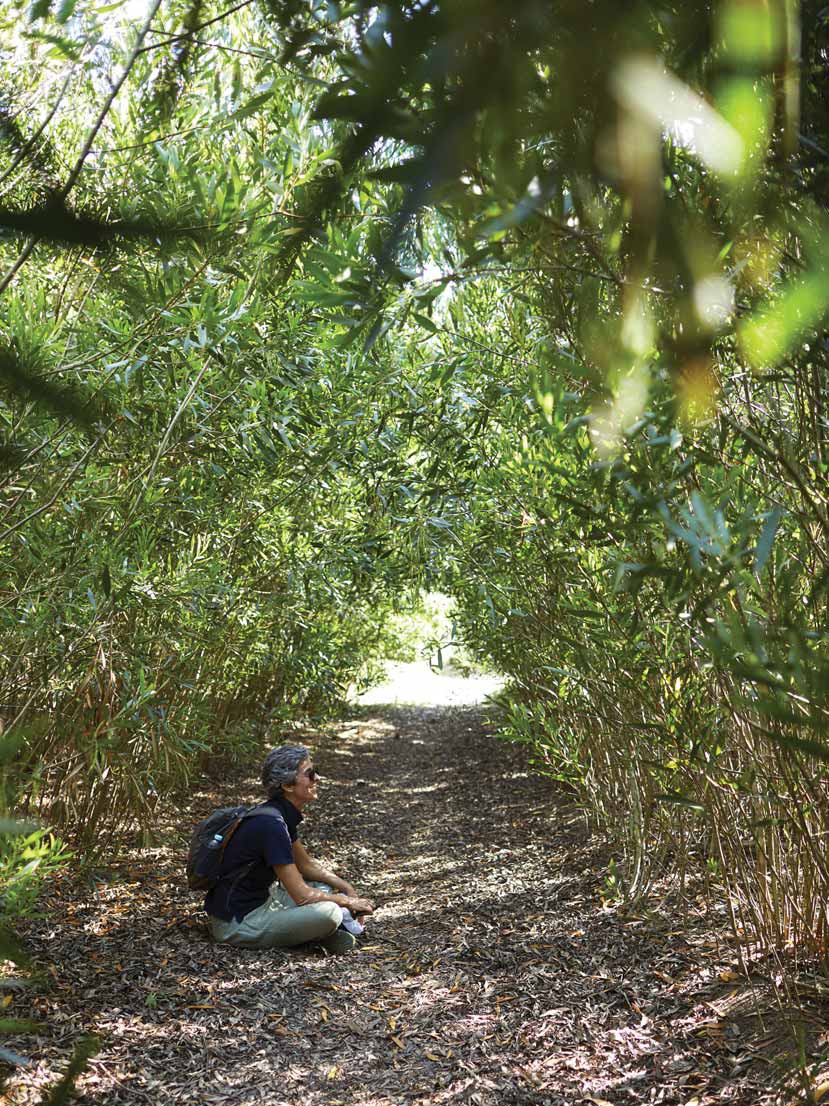 Alentejo – The Wild Coast